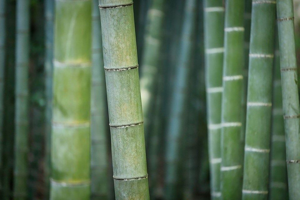 Pemanfaatan Bambu Untuk Kerajinan Tangan